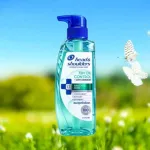 Head & Shoulders 72H Oil Control + অ্যান্টি-ড্যানড্রাফ শ্যাম্পু 300ml