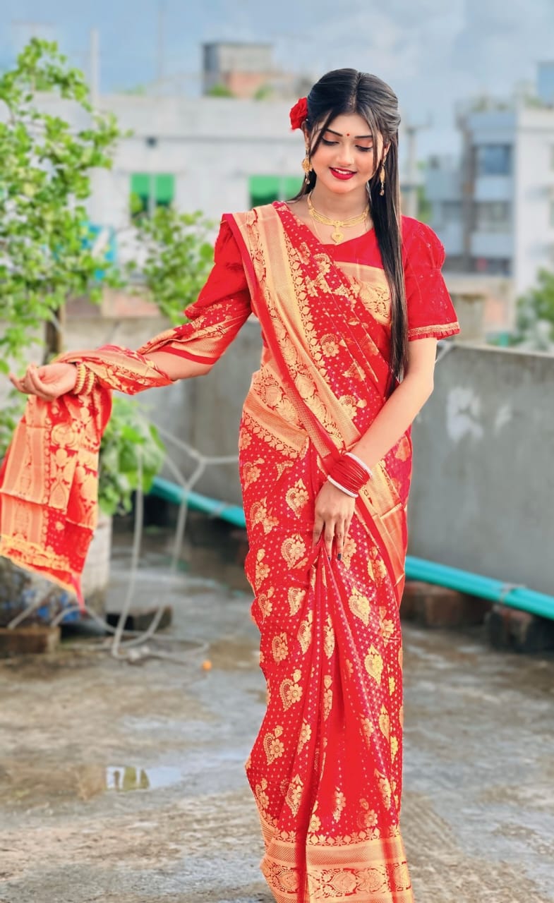 Jacquard Border Soft Silk Katan Saree for Reception Wear