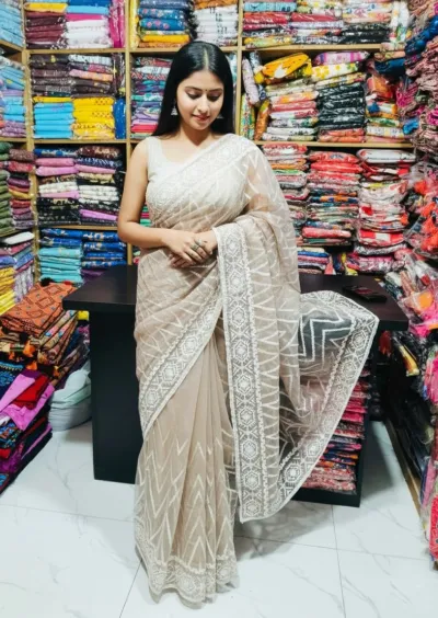 Georgette Organza Saree with Embroidery and Running Blouse