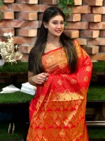 Katan Banarasi Saree, Full Body Zari Thread Work, No Blouse