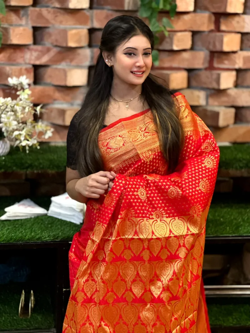 Katan Banarasi Saree, Full Body Zari Thread Work, No Blouse
