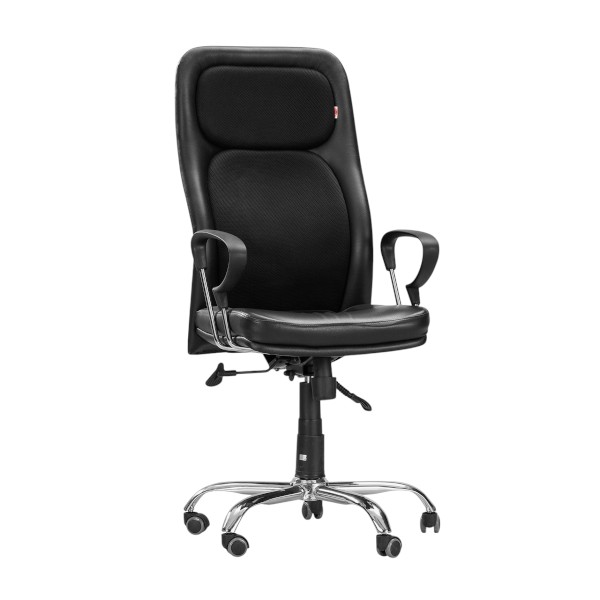 Regal OFFICE CHAIR CSC-231 Swivel Chair-CSC-231-10-1-66 (1Part)