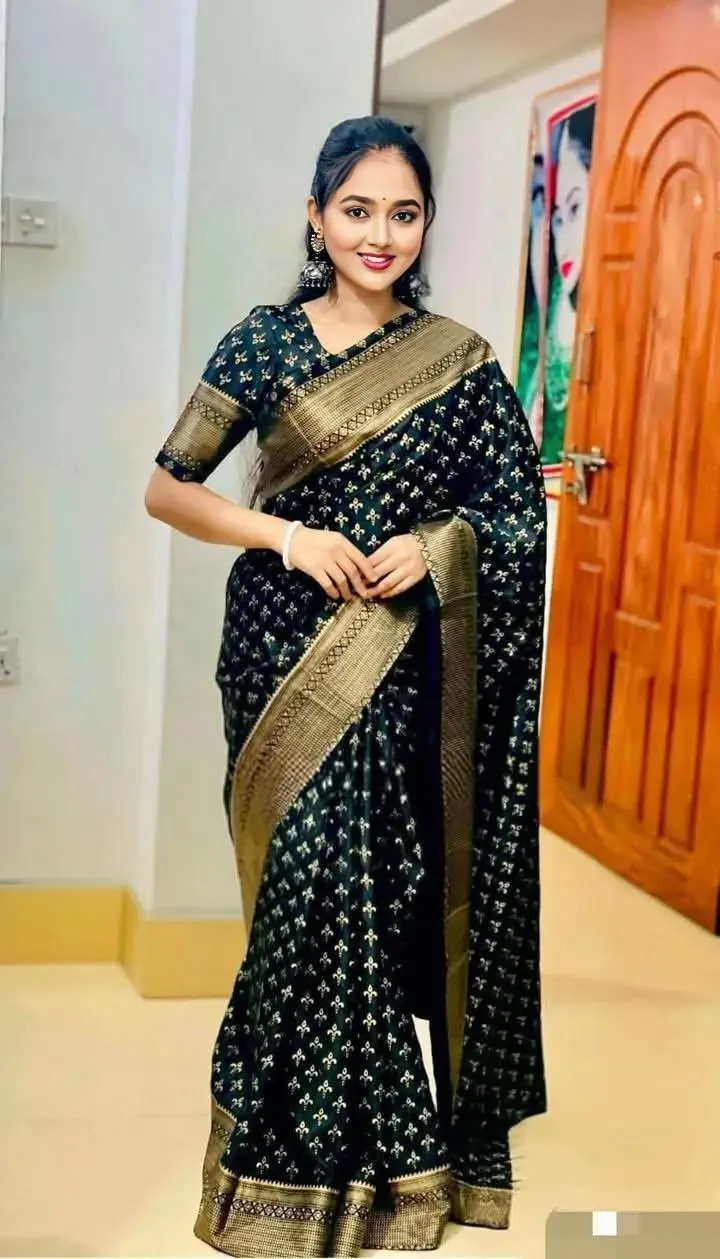 Silk Saree with Screen Print and Matching Blouse, 4 Colours