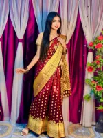 Silk Katan Banarasi Saree with Golden Zari Work, 6 Colours