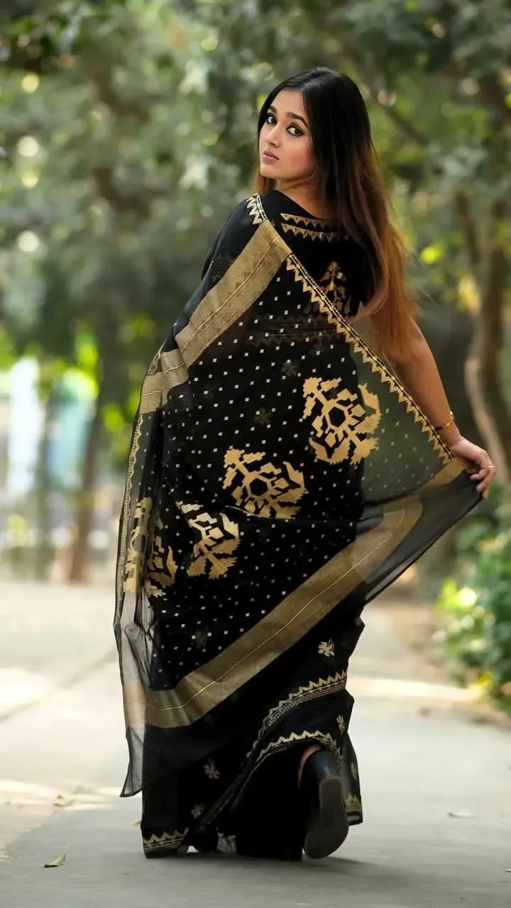 Screen and Afsan Print Semi Muslin Saree, 6 Colours