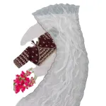পিওর সফট জর্জেট শাড়ি