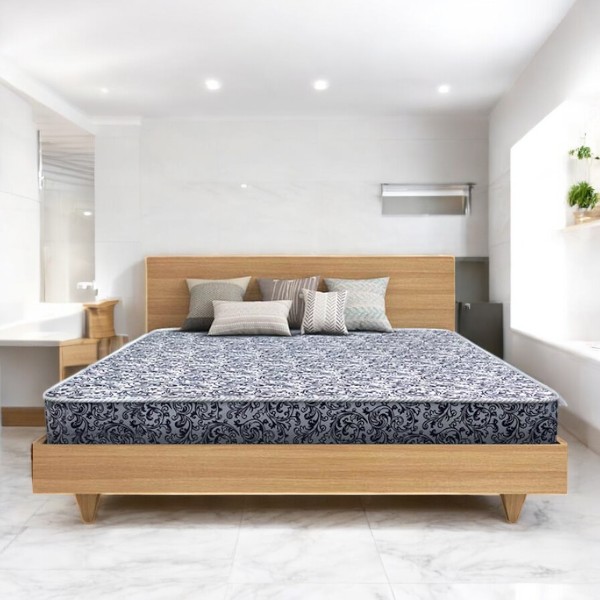 Regal SLEEPY MATTRESS SLEEPY DOUBLE MATTRESS (M-301)