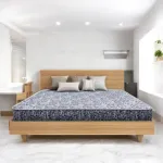 Regal Sleepy ডাবল ম্যাট্রেস M-301