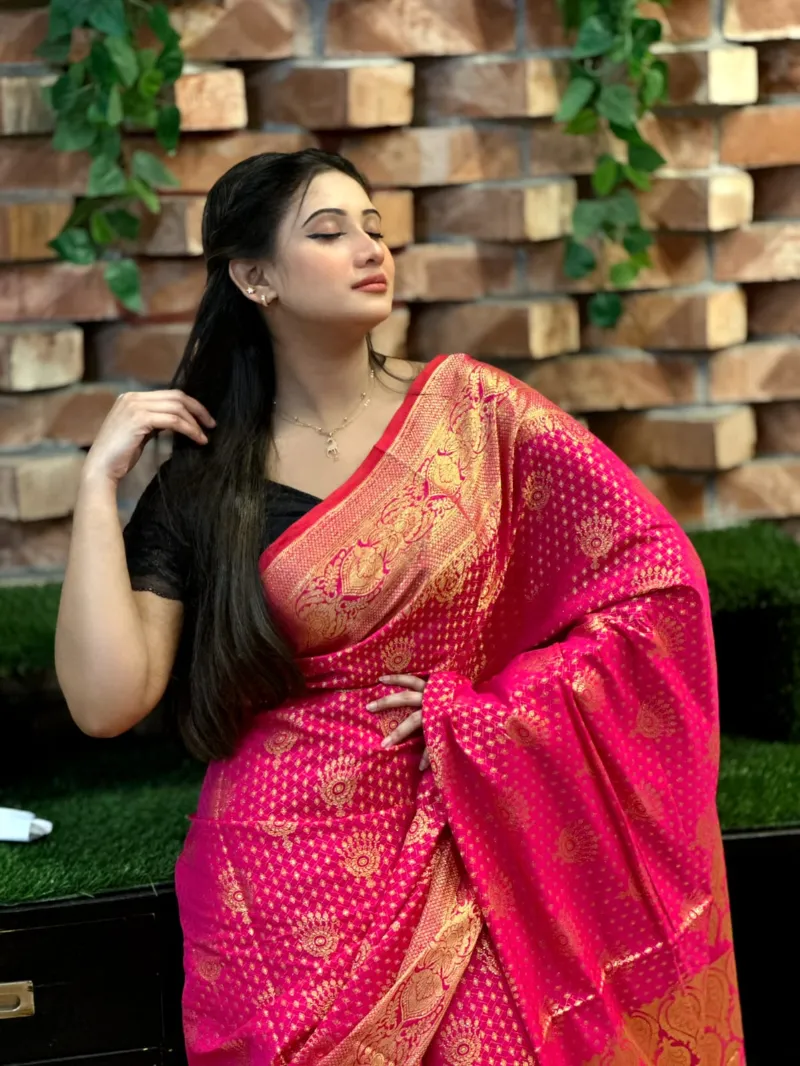 Katan Banarasi Saree, Full Body Zari Thread Work, No Blouse