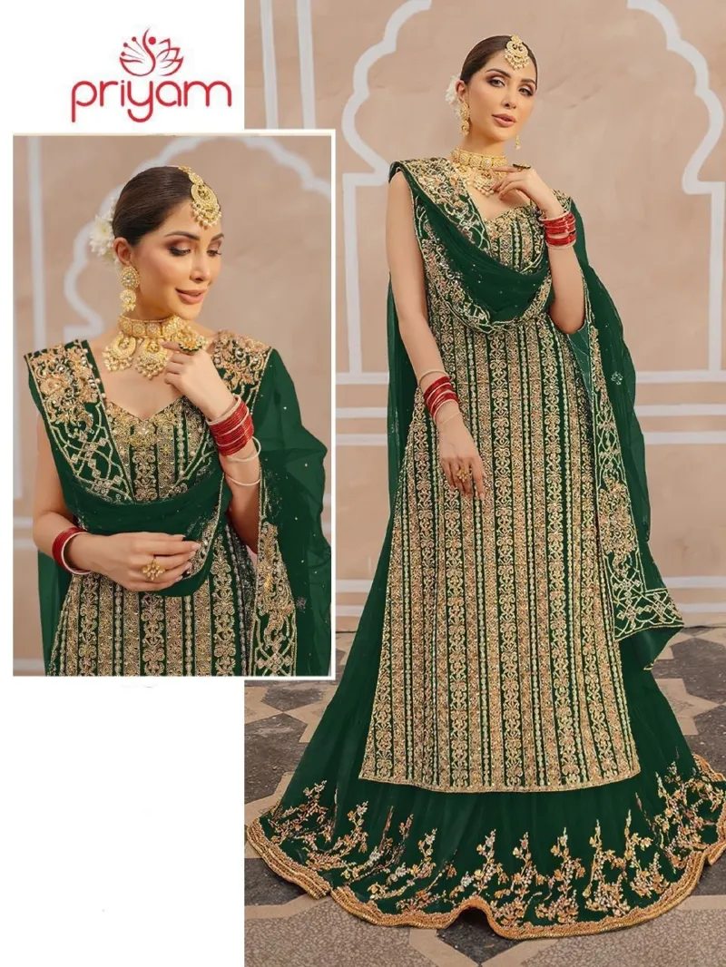 Women's Georgette Party Dress with Embroidered Skirt and Organza Orna