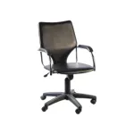 Regal সুইভেল এক্সিকিউটিভ অফিস চেয়ার CSE-104-6-1-66