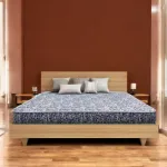 Regal Medipedic কিং ম্যাট্রেস M-301
