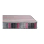 Regal Ultrasoft কিং ম্যাট্রেস M-501