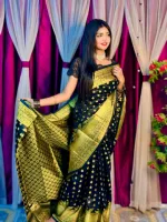 জরি সুতার কাজের সিল্ক কাতান বেনারসি শাড়ি, 5 রং