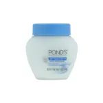 Pond's ড্রাই স্কিন ফেসিয়াল ময়েশ্চারাইজার 111g