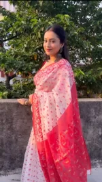 Resham Silk Saree for Women, Screen Print and Dollar Blouse