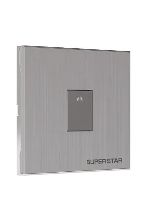 Super Star Silver Line 1 গ্যাং ওয়ান ওয়ে সুইচ