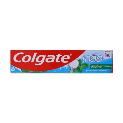 Colgate Salt Herbal লবণ ও ভেষজ টুথপেস্ট 100g