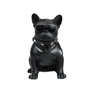 RECCI RSK-W18 BullDog ওয়্যারলেস স্পিকার