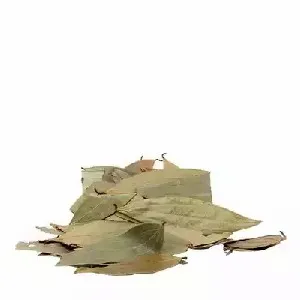 তেজপাতা (Bay Leaf)