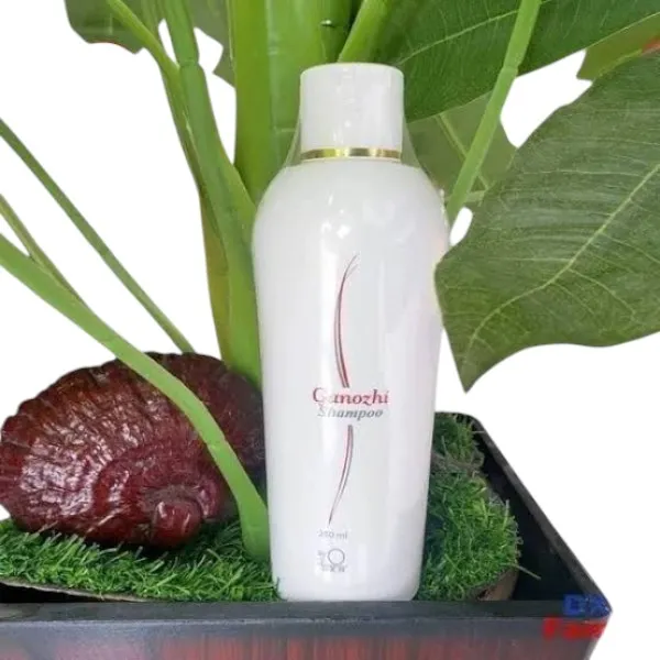 DXN Ganozhi শ্যাম্পু 250ml