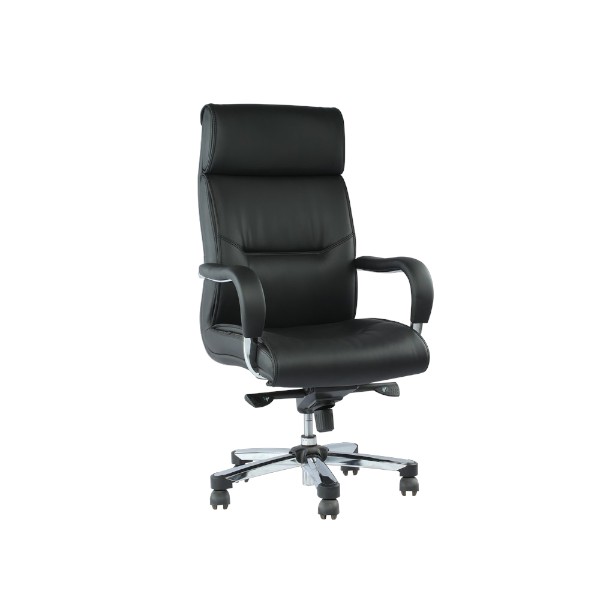 Regal সুইভেল অফিস চেয়ার CSC-249-6-1-66