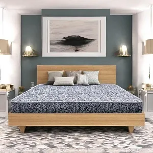 Regal MEDIPEDIC ডাবল ম্যাট্রেস (M-301)