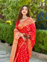 মেয়েদের সিল্ক কাতান শাড়ি, ফুল বডি জরির সুতার কাজ, 6 রং