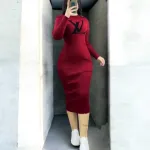 Unique Collection রোল নেক মিডি ড্রেস