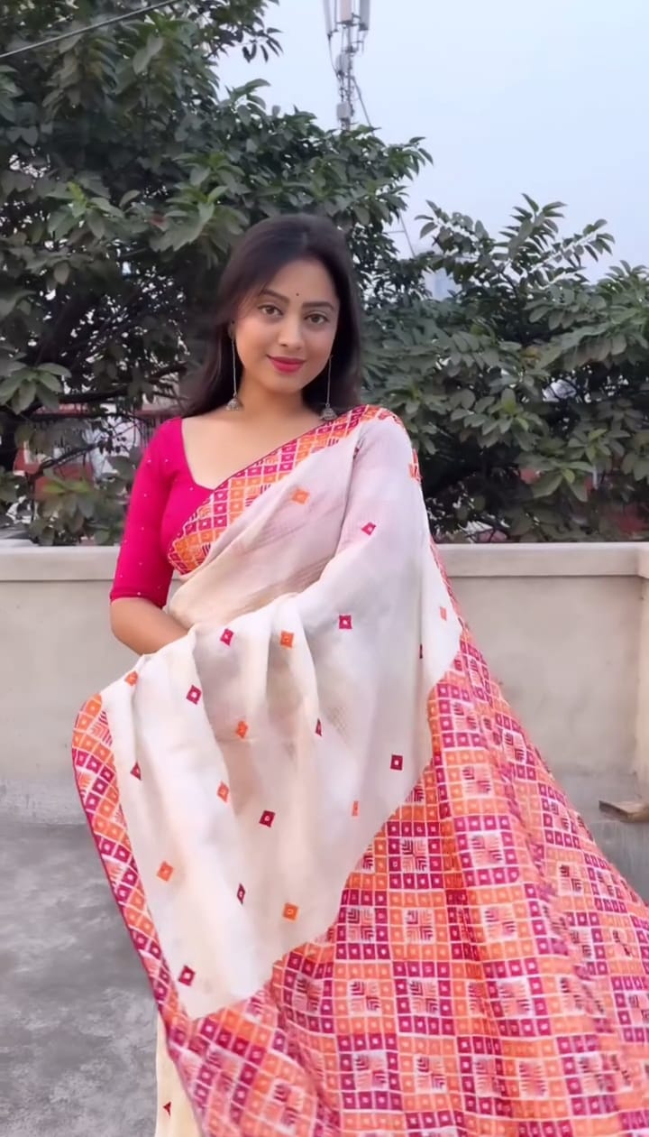 Light Resham Silk Saree with Screen Print, 6 Colour Choices