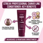 Streax Canvoline কন্ডিশনার 240g