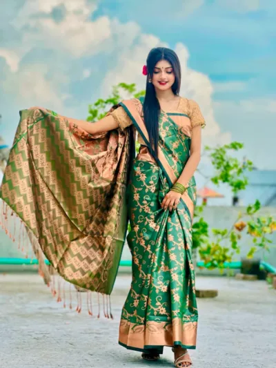 Full Body Zari Banarasi Katan Saree, 12 Haath, No Blouse