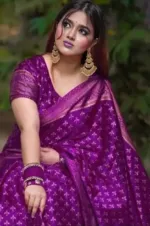 Silk Saree with Screen Print and Matching Blouse, 4 Colours
