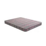 Regal Medipedic ডাবল ম্যাট্রেস M-501