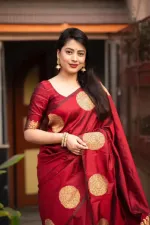 Silk Saree with Afsan Screen Print and Blouse Piece, 6 Colours