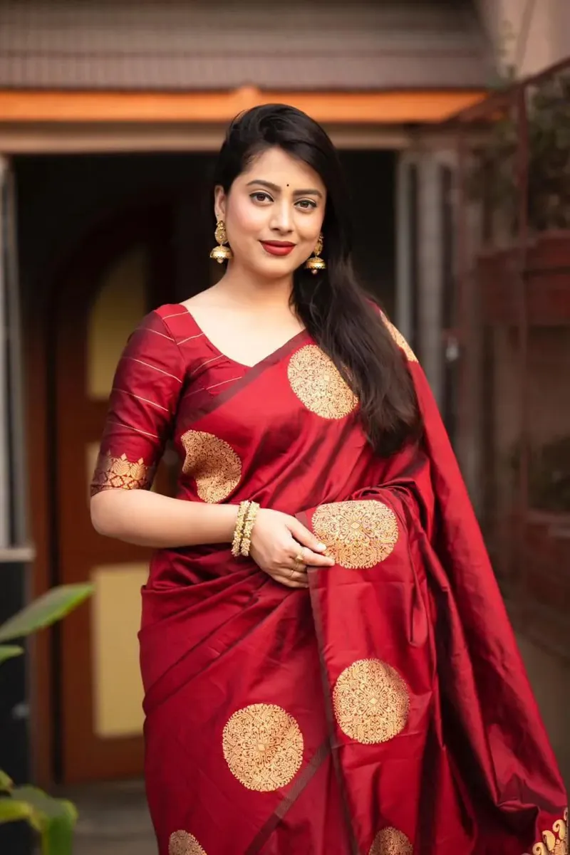 Silk Saree with Afsan Screen Print and Blouse Piece, 6 Colours