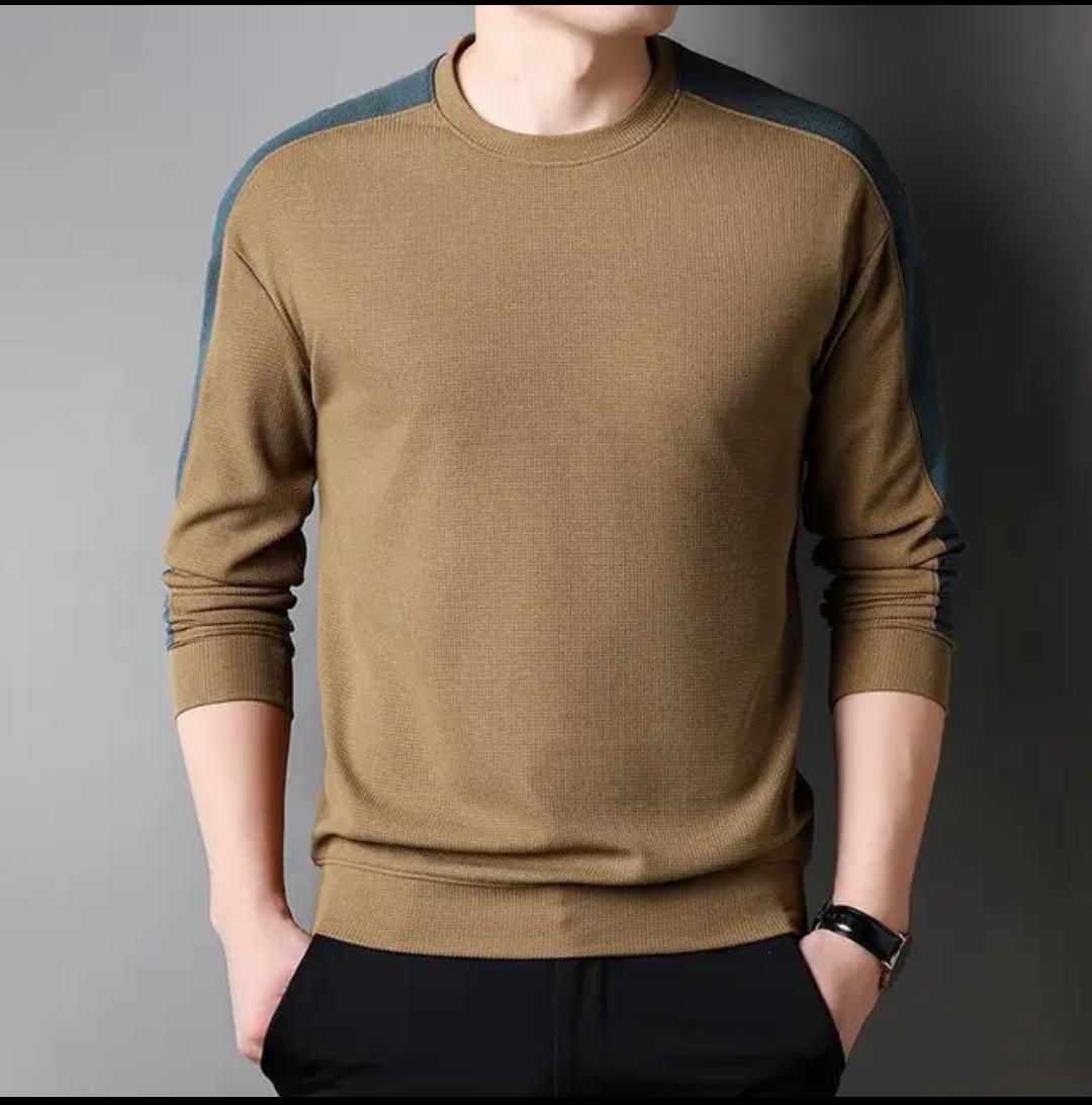 Men's 200 GSM Thick Cotton Full Sleeve T-Shirt, 6 Colours