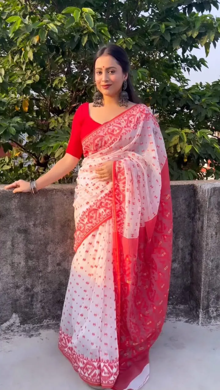 Resham Silk Saree for Women, Screen Print and Dollar Blouse