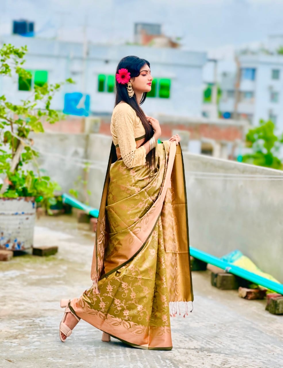 Full Body Zari Banarasi Katan Saree, 12 Haath, No Blouse