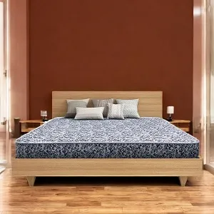 Regal Medipedic কিং ম্যাট্রেস M-301