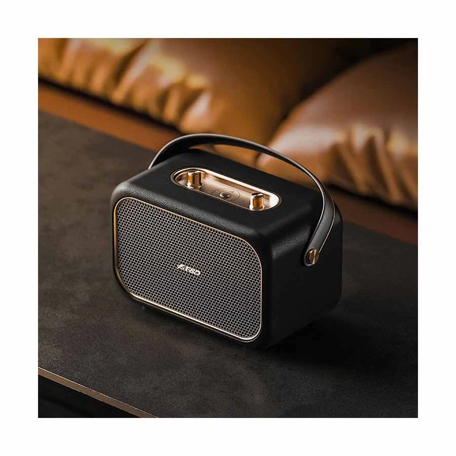 F&D RW40 Black Portable Bluetooth Speaker