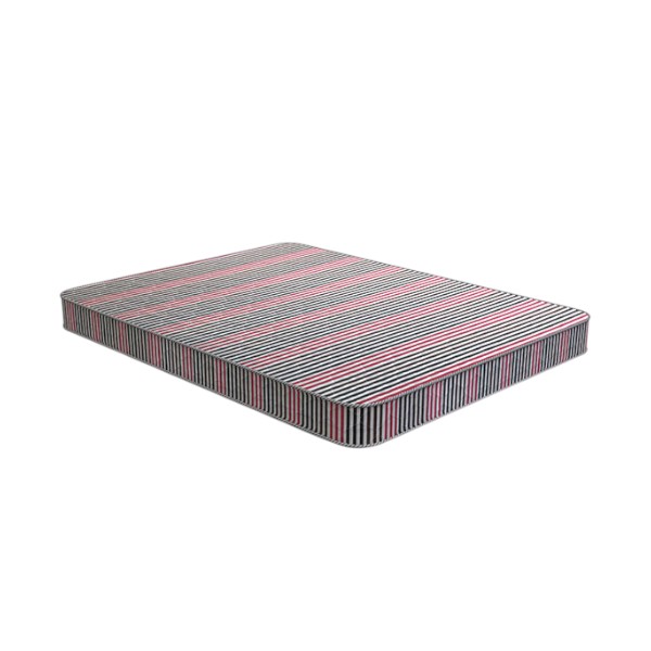 Regal স্লিপি ম্যাট্রেস স্লিপি ডাবল ম্যাট্রেস (M-501)