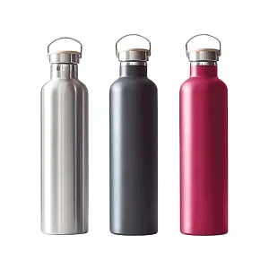 থার্মো ট্রাভেল ফ্লাস্ক Radiant 600 ML (অ্যাসর্টেড)