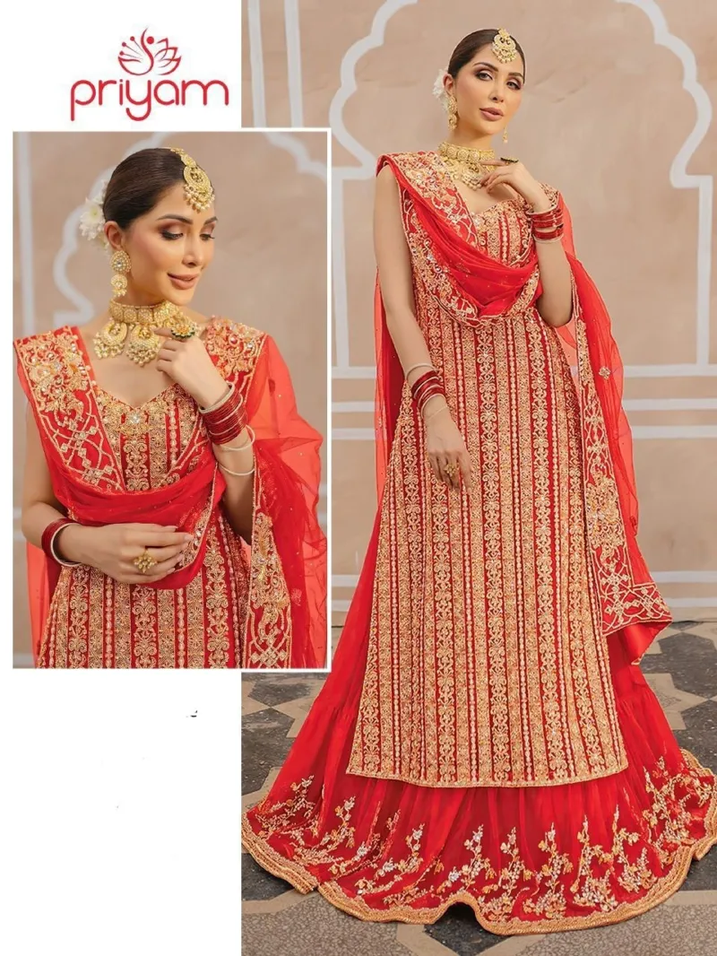 Women's Georgette Party Dress with Embroidered Skirt and Organza Orna