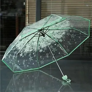 মেয়েদের স্বচ্ছ ফুলের ছাতা