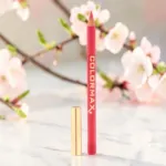Colormax Satin Glide Long Lasting লিপ লাইনার পেন্সিল - 04 Hollywood