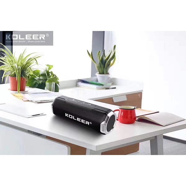 FM রেডিও সহ KOLEER S218 ব্লুটুথ স্পিকার
