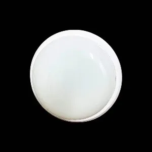 Jago সিকিউরিটি লাইট IP65 18 ওয়াট গোল সাদা JG-SL-RW