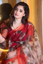 Chanduri Silk Saree with Tasselled Anchal, 12.5 Haath, 6 Colours