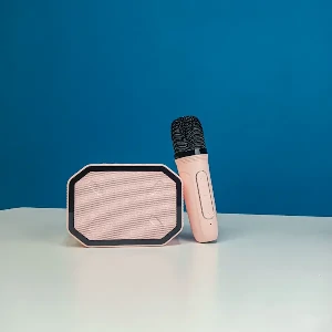 P3 Portable Karaoke Speaker Kits